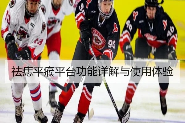 祛痣平瘊平台功能详解与使用体验